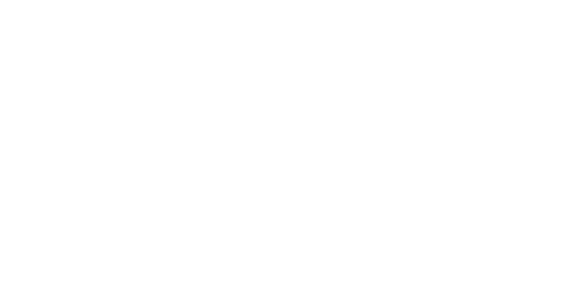 BIS Journal